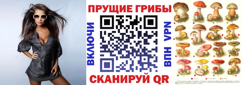 Псилоцибиновые грибы MAGIC MUSHROOMS  блэк спрут онион  Старый Крым 